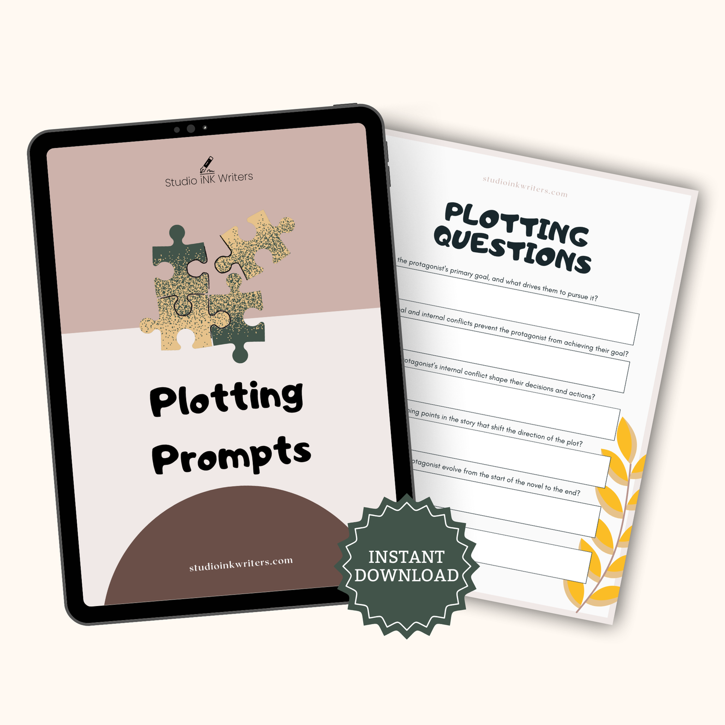 Interactive Plotting Questions Worksheet