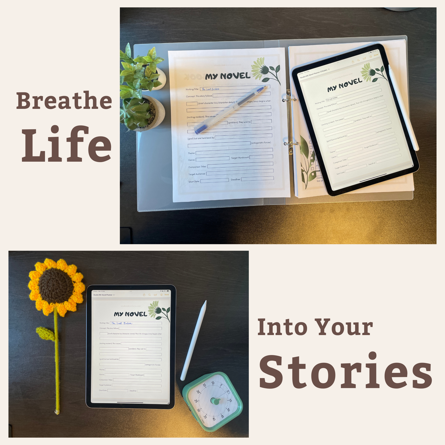 Interactive Novel Concept Worksheet