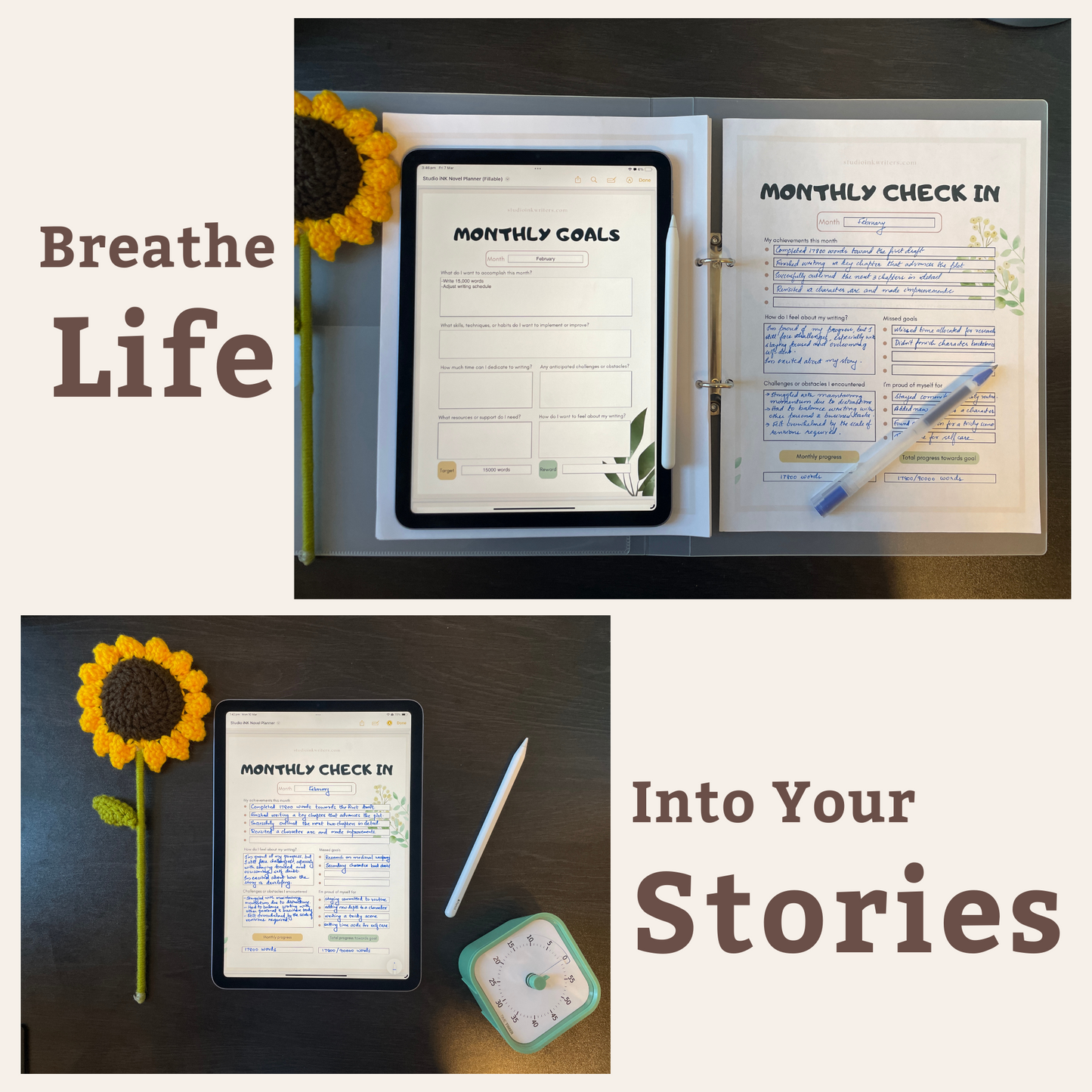 Monthly Goals & Review Worksheets